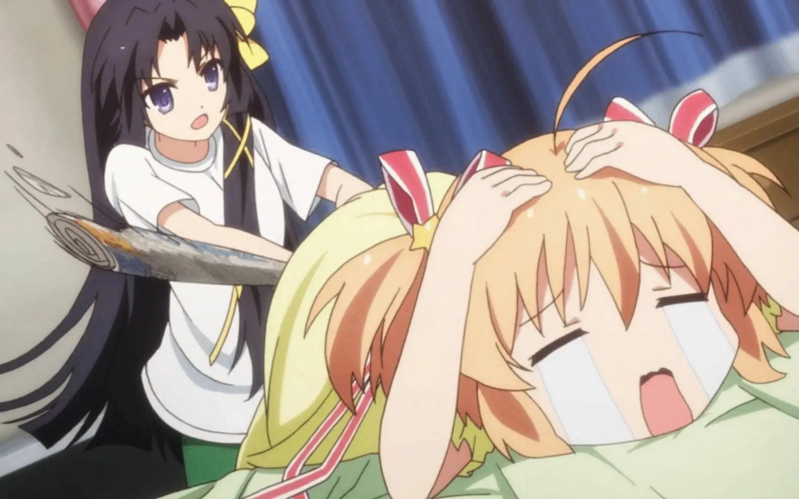 西檬之家字母圈TS是什么意思? 一