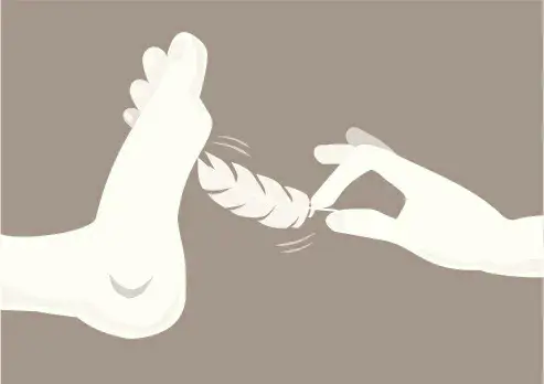 西檬之家K9是什么?字母圈犬系入门指南 一