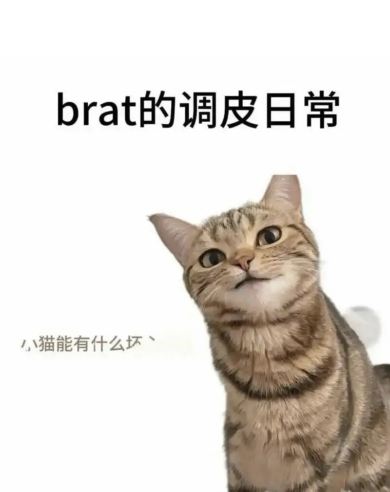 西檬之家TS是什么意思?字母圈跨性别入门 一