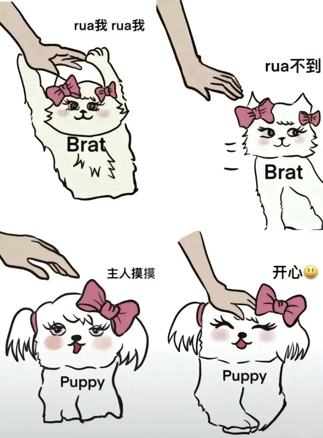 西檬之家CD是什么意思?字母圈新人入圈 一
