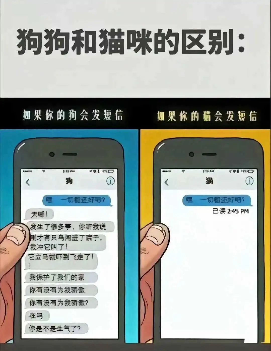 西檬之家Dirty Talk是什么?字母圈新人入圈必读指南 一