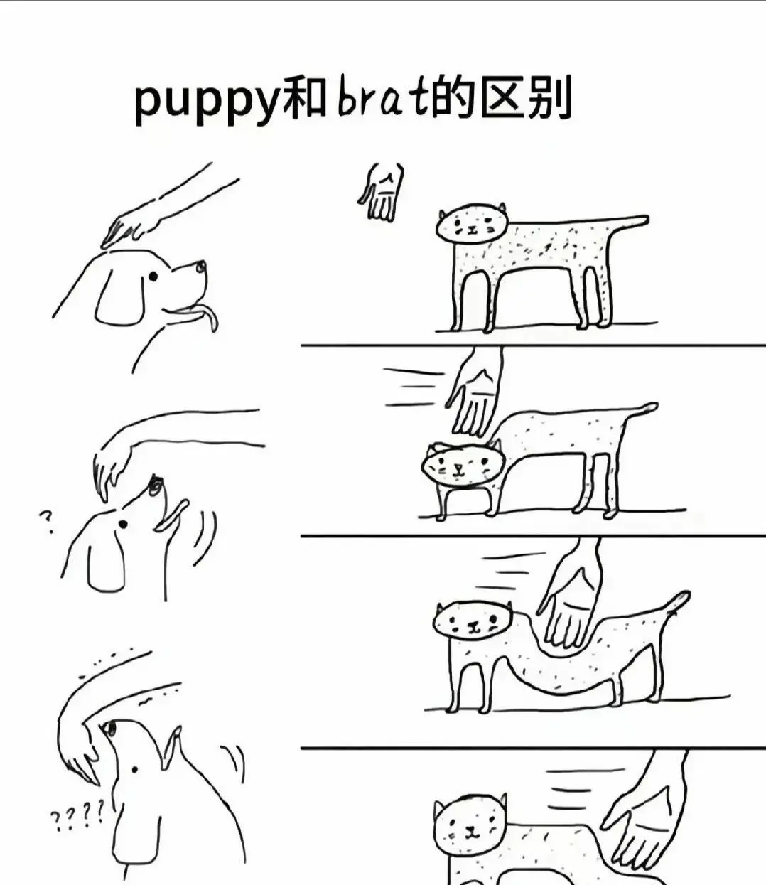 西檬之家字母圈switch是什么意思? 一