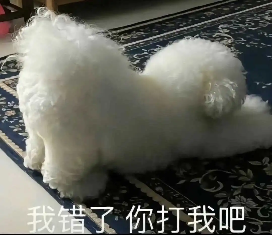 西檬之家字母圈的大圈是什么? 一