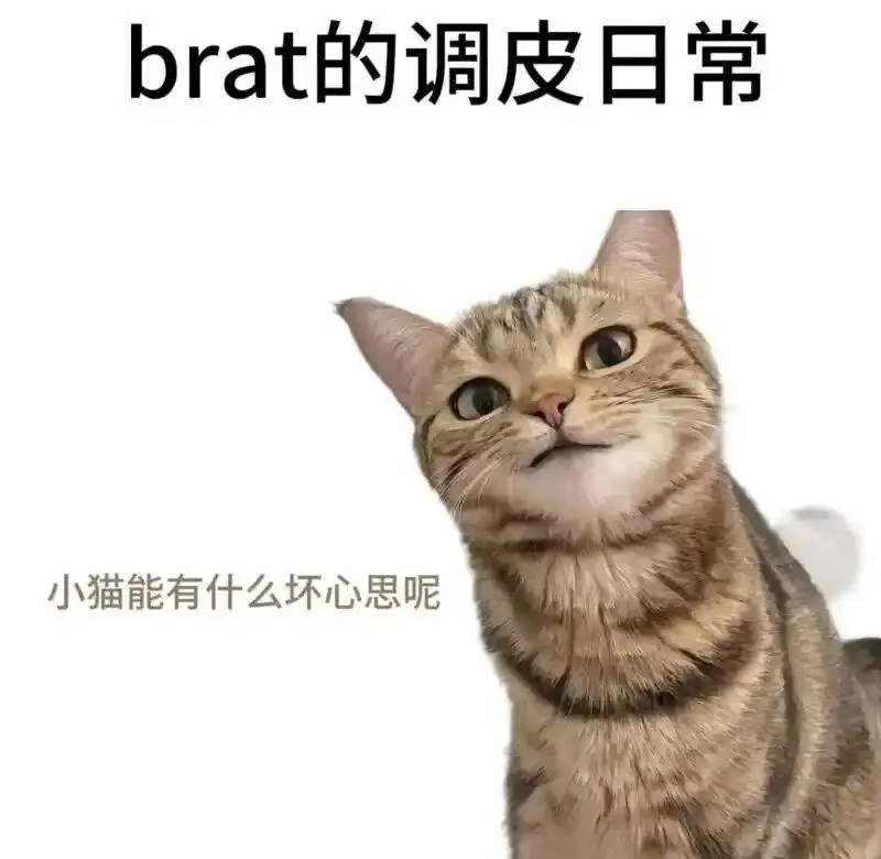西檬之家m倾向是什么意思? 一
