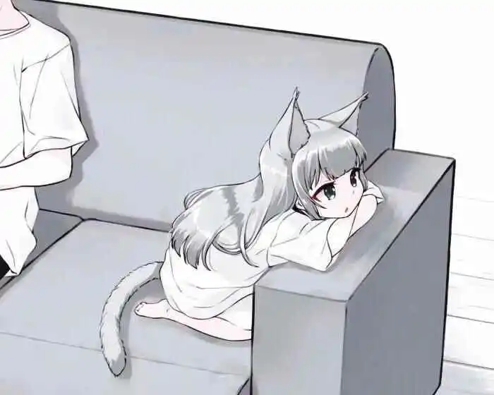 西檬之家字母圈的k8猫系是什么意思? 一