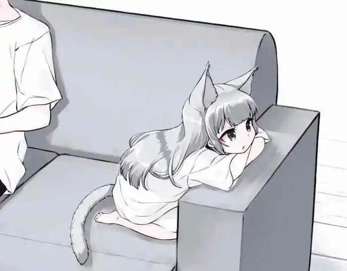 西檬之家字母圈s属性是什么意思? 一
